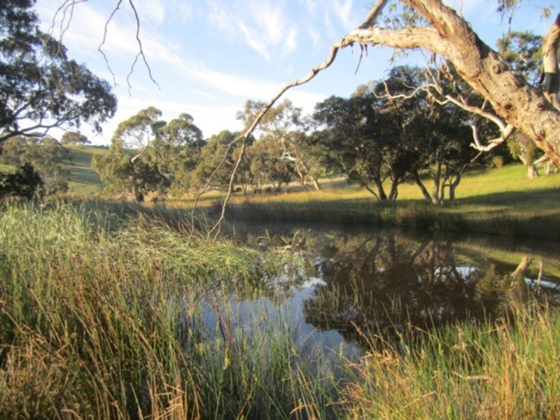 93 Parri Wilta Road, Ashbourne SA 5157