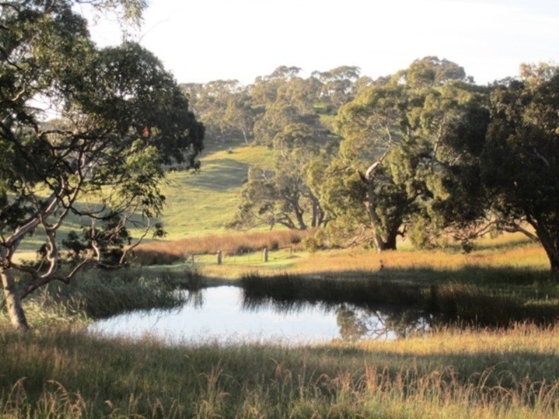 93 Parri Wilta Road, Ashbourne SA 5157