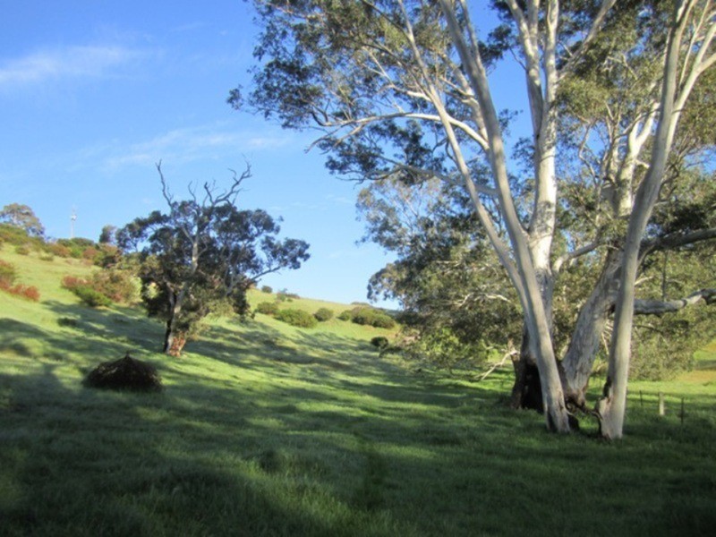 93 Parri Wilta Road, Ashbourne SA 5157