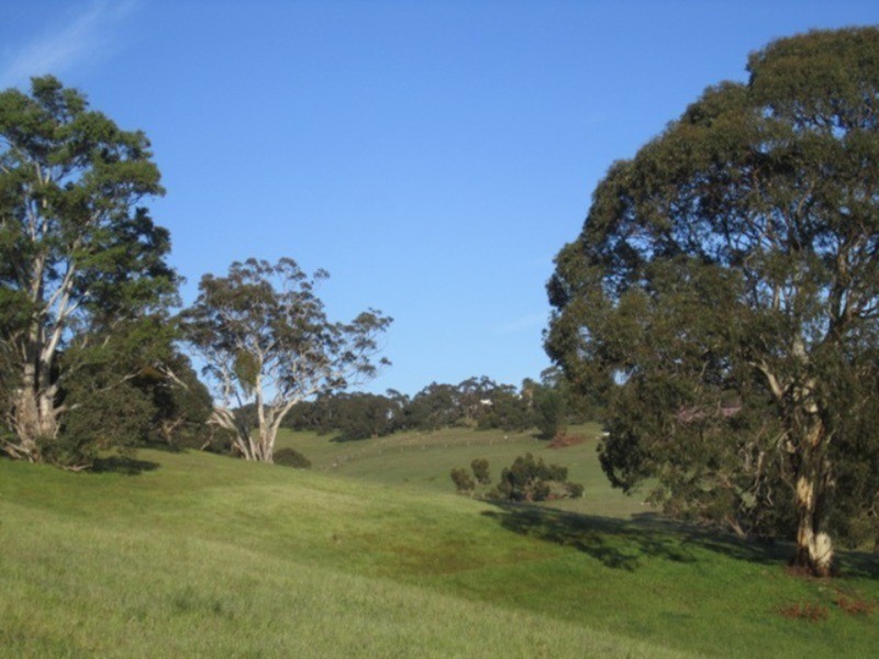 93 Parri Wilta Road, Ashbourne SA 5157