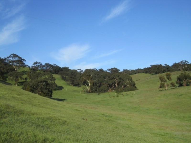 93 Parri Wilta Road, Ashbourne SA 5157