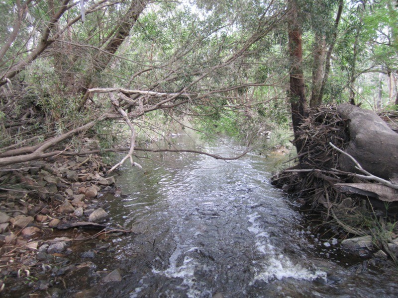 353 Cole Crossing Road, Yundi SA 5172