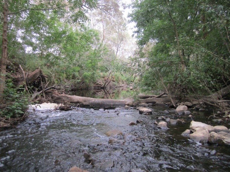 353 Cole Crossing Road, Yundi SA 5172