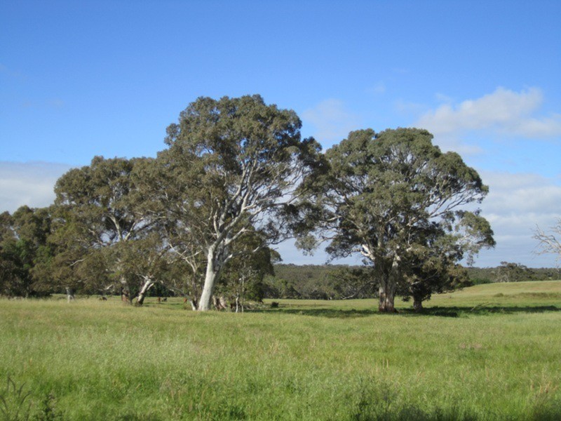 353 Cole Crossing Road, Yundi SA 5172