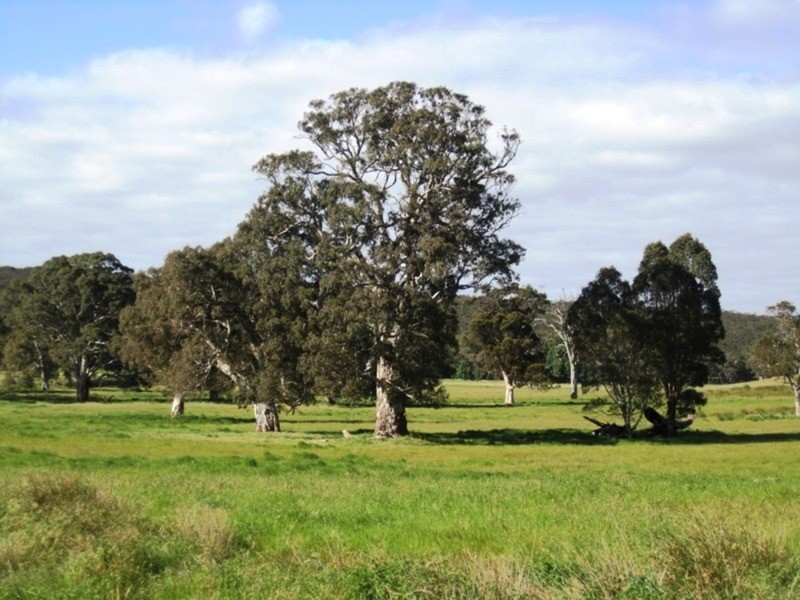 353 Cole Crossing Road, Yundi SA 5172