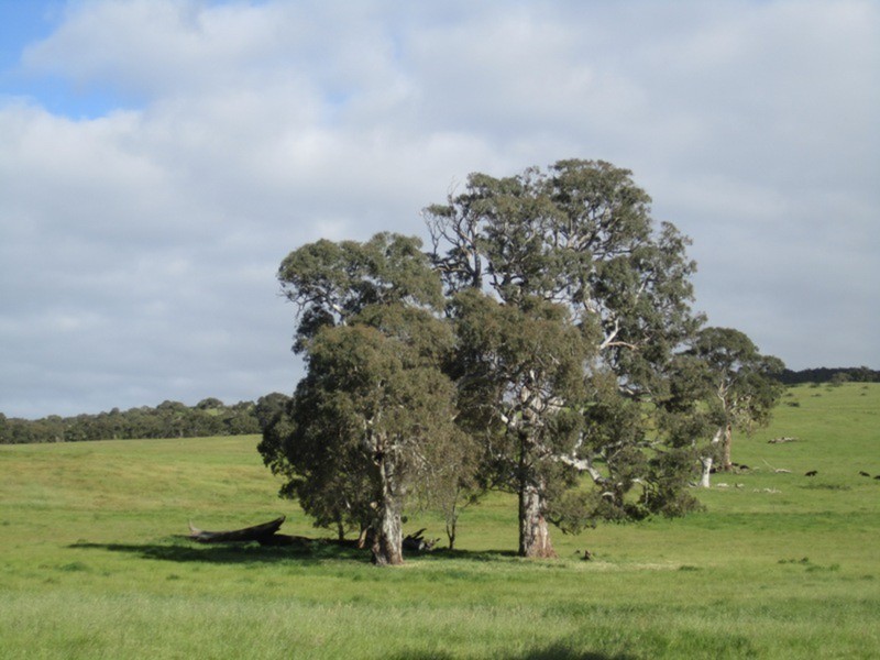 353 Cole Crossing Road, Yundi SA 5172