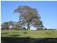 41 Bridle Road, Willunga Hill SA 5172
