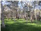 41 Bridle Road, Willunga Hill SA 5172