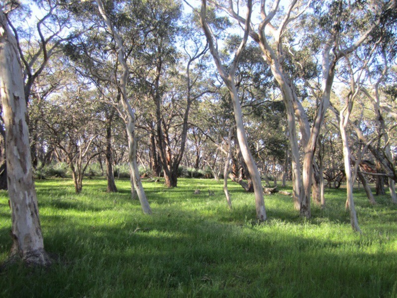 41 Bridle Road, Willunga Hill SA 5172
