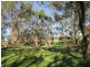 41 Bridle Road, Willunga Hill SA 5172