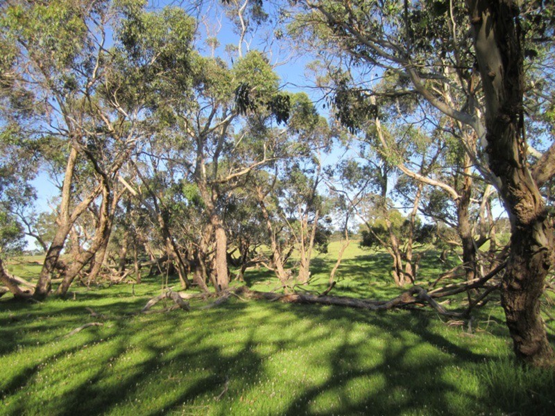 41 Bridle Road, Willunga Hill SA 5172