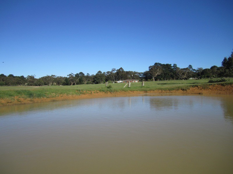 41 Bridle Road, Willunga Hill SA 5172