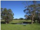 41 Bridle Road, Willunga Hill SA 5172