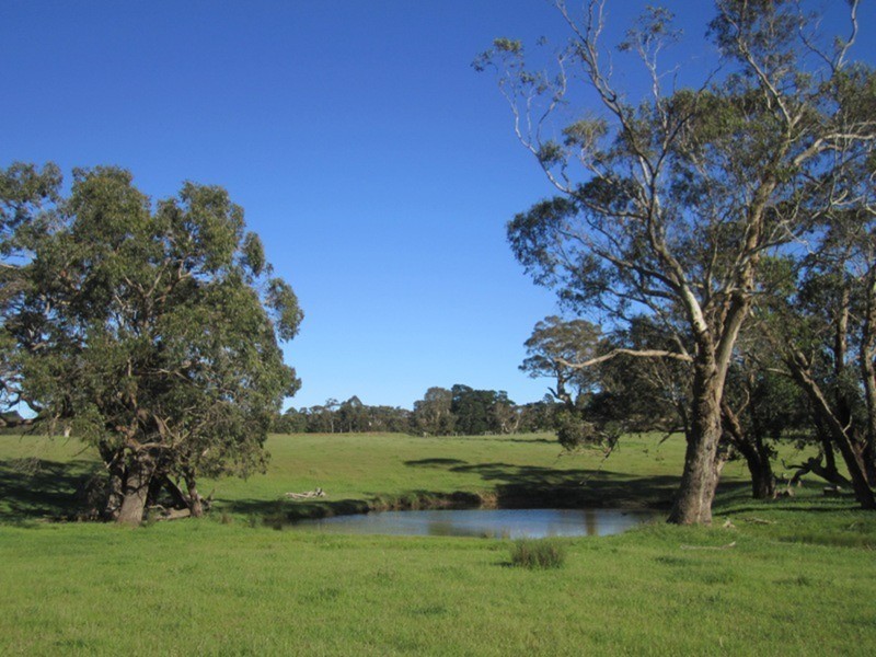 41 Bridle Road, Willunga Hill SA 5172
