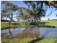 41 Bridle Road, Willunga Hill SA 5172