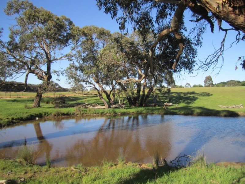 41 Bridle Road, Willunga Hill SA 5172