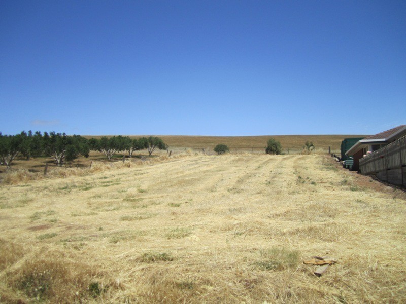 140 Wellington  Avenue, Sellicks Beach SA 5174