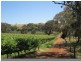 963 Cleland Gully Road, Tooperang SA 5255