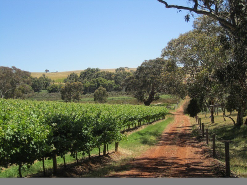 963 Cleland Gully Road, Tooperang SA 5255