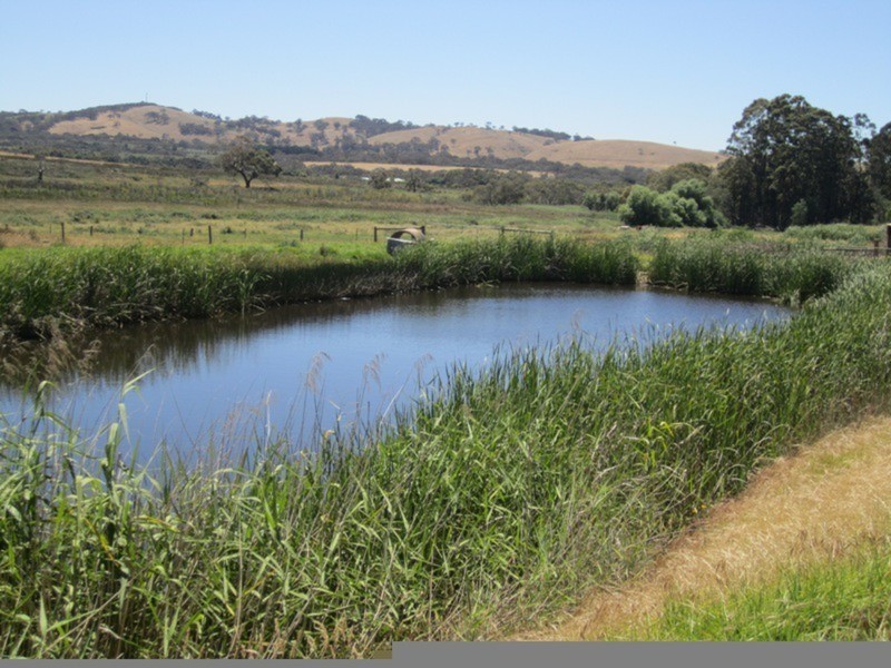 963 Cleland Gully Road, Tooperang SA 5255