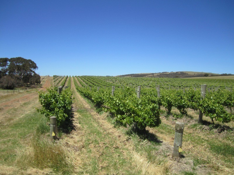 963 Cleland Gully Road, Tooperang SA 5255