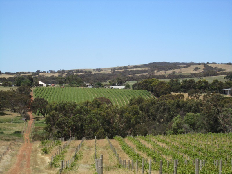 963 Cleland Gully Road, Tooperang SA 5255