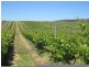 963 Cleland Gully Road, Tooperang SA 5255
