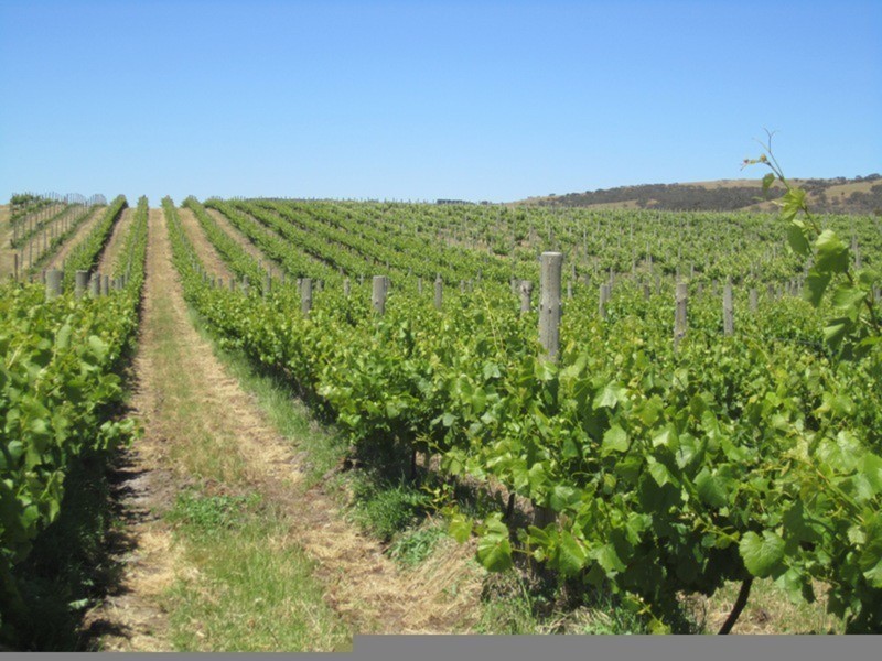 963 Cleland Gully Road, Tooperang SA 5255