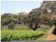 963 Cleland Gully Road, Tooperang SA 5255