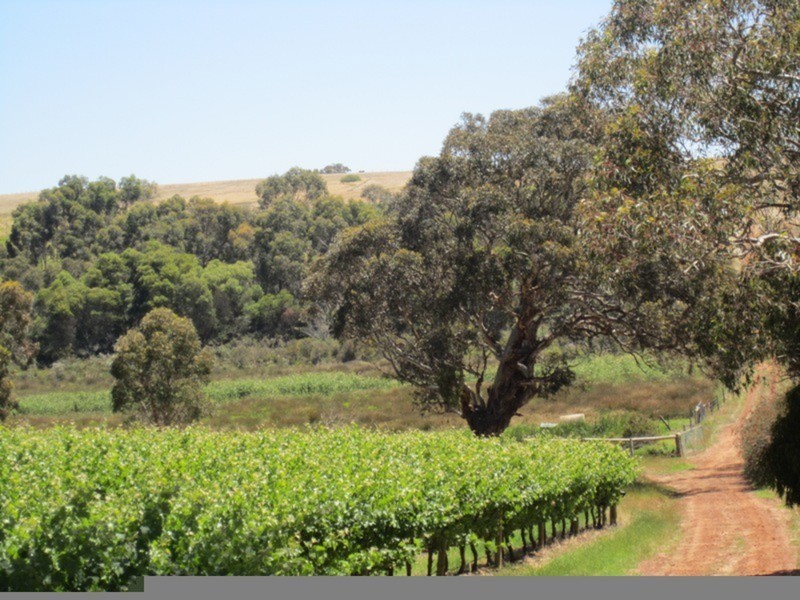 963 Cleland Gully Road, Tooperang SA 5255