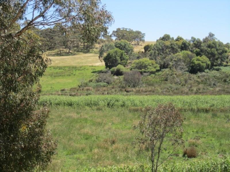 963 Cleland Gully Road, Tooperang SA 5255