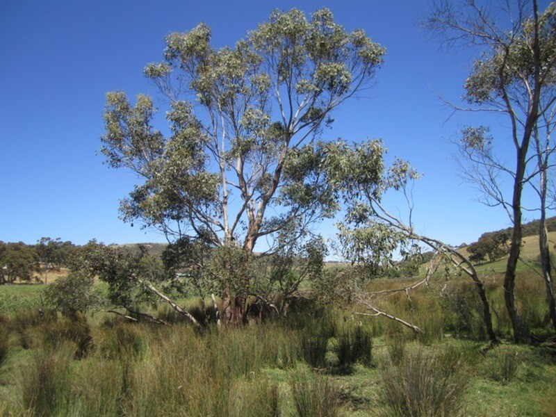 963 Cleland Gully Road, Tooperang SA 5255