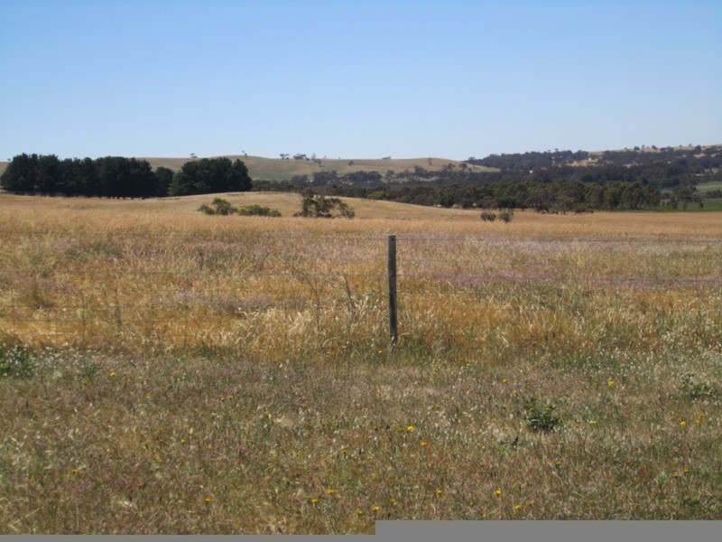 963 Cleland Gully Road, Tooperang SA 5255