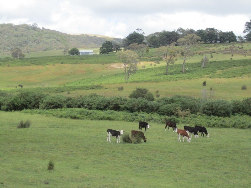 296 Parawa  Road, Torrens Vale SA 5203