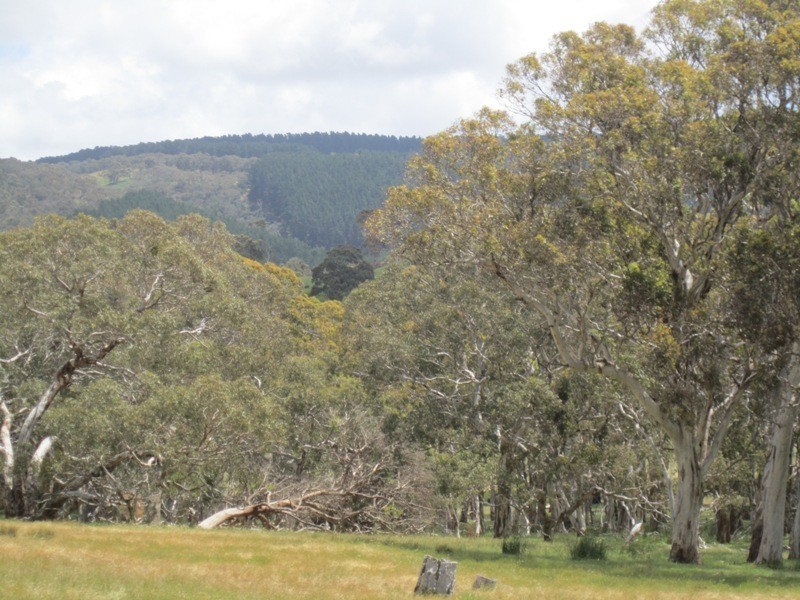 296 Parawa  Road, Torrens Vale SA 5203