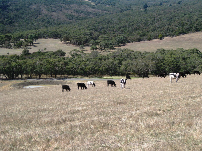 Piece 63 Parawa Road, Torrens Vale SA 5203