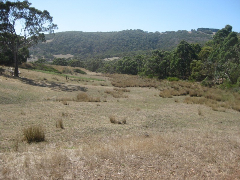 Pieces 61 & 62 Parawa Road, Torrens Vale SA 5203