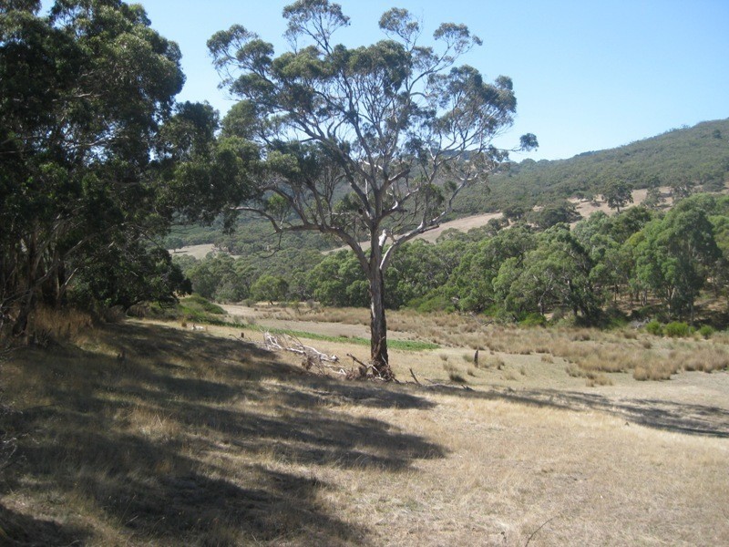 Pieces 61 & 62 Parawa Road, Torrens Vale SA 5203