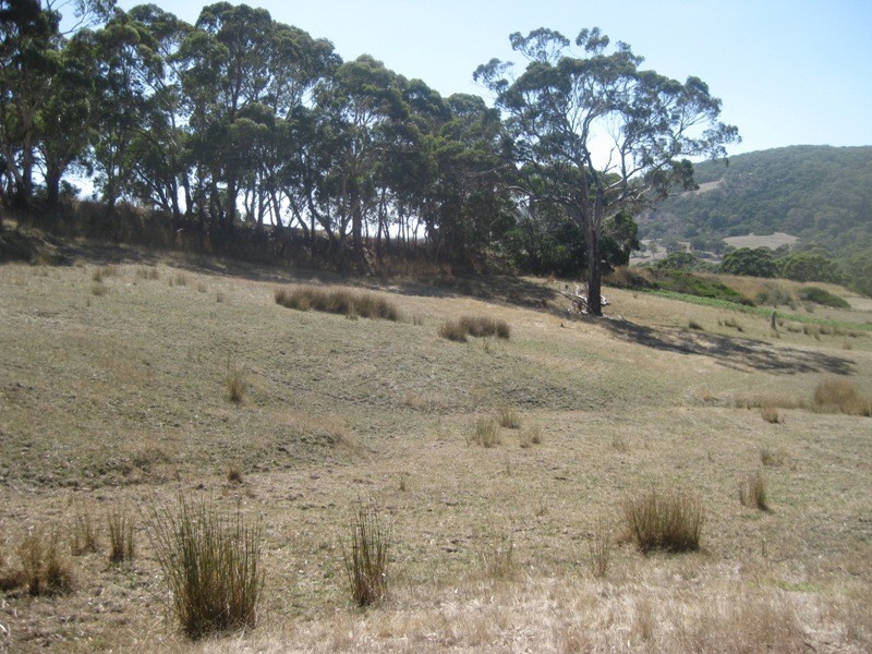 Pieces 61 & 62 Parawa Road, Torrens Vale SA 5203