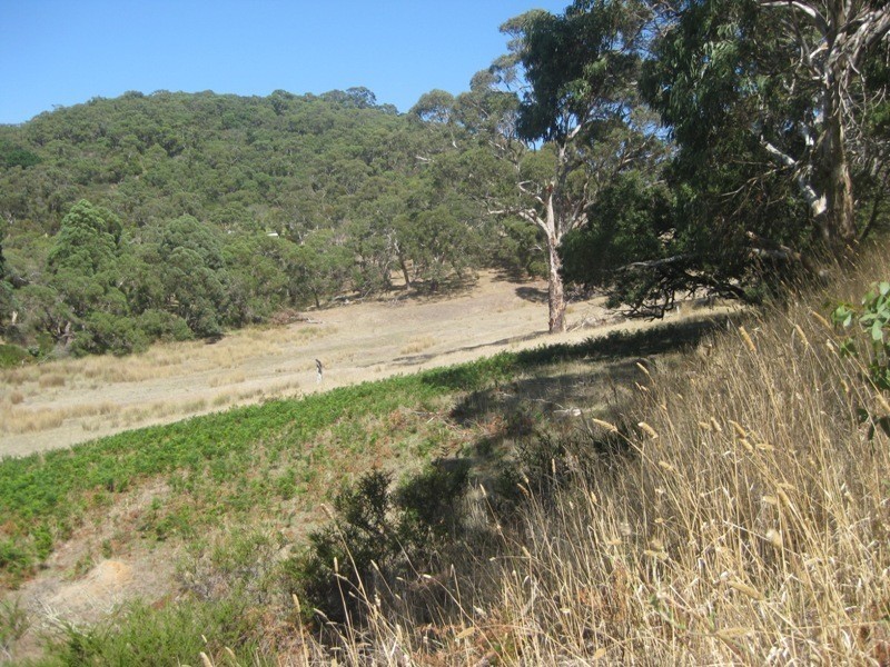 Pieces 61 & 62 Parawa Road, Torrens Vale SA 5203