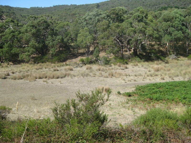 Pieces 61 & 62 Parawa Road, Torrens Vale SA 5203