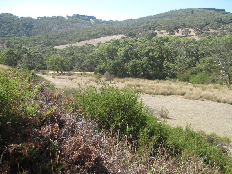 Pieces 61 & 62 Parawa Road, Torrens Vale SA 5203