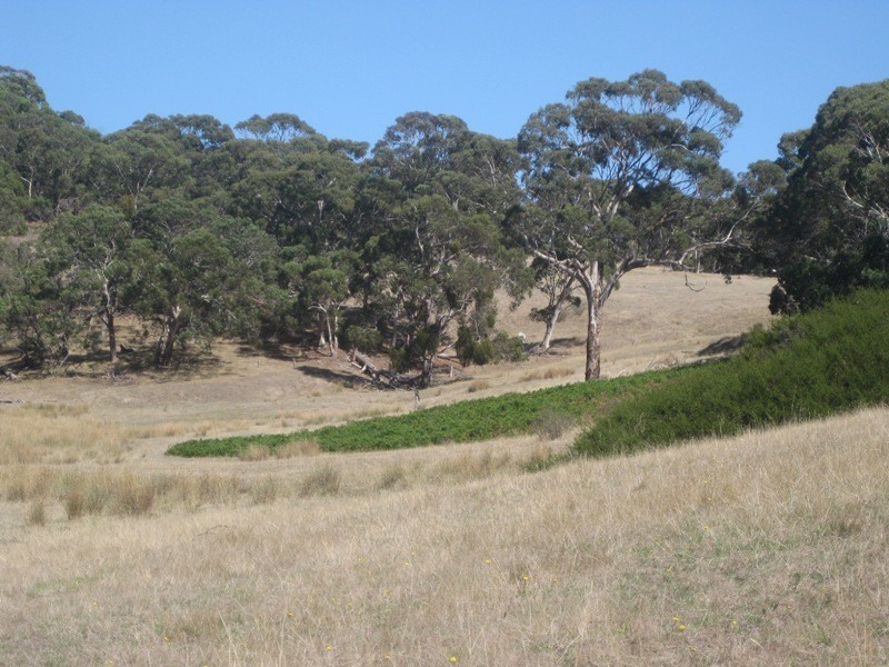 Pieces 61 & 62 Parawa Road, Torrens Vale SA 5203