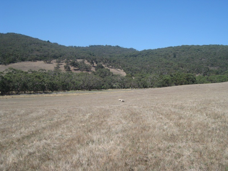 Pieces 61 & 62 Parawa Road, Torrens Vale SA 5203