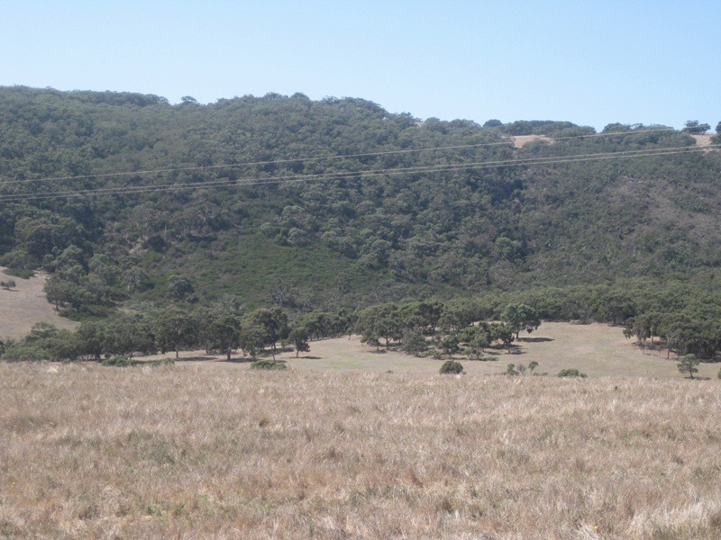 Pieces 61 & 62 Parawa Road, Torrens Vale SA 5203