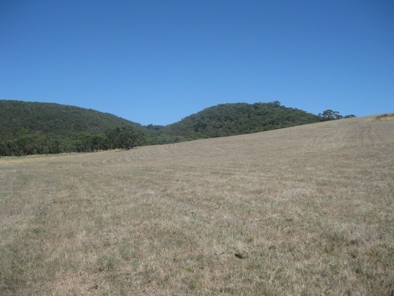 Pieces 61 & 62 Parawa Road, Torrens Vale SA 5203