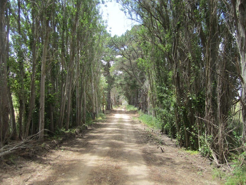 Piece 67 Parawa Road, Torrens Vale SA 5203