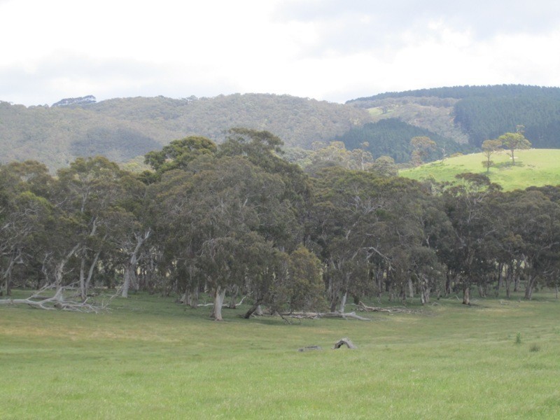 Piece 67 Parawa Road, Torrens Vale SA 5203