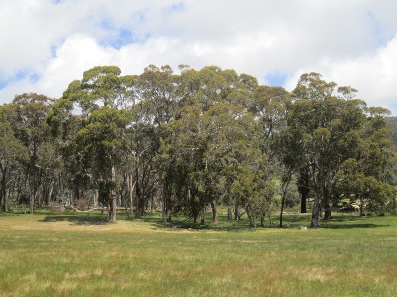 Piece 67 Parawa Road, Torrens Vale SA 5203