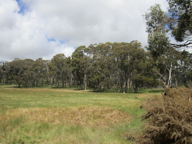 Piece 67 Parawa Road, Torrens Vale SA 5203